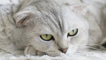 华体会hthapp下载入口-教练培训是否过于注重理论缺乏实战演练，教练员培训要注意哪些方面