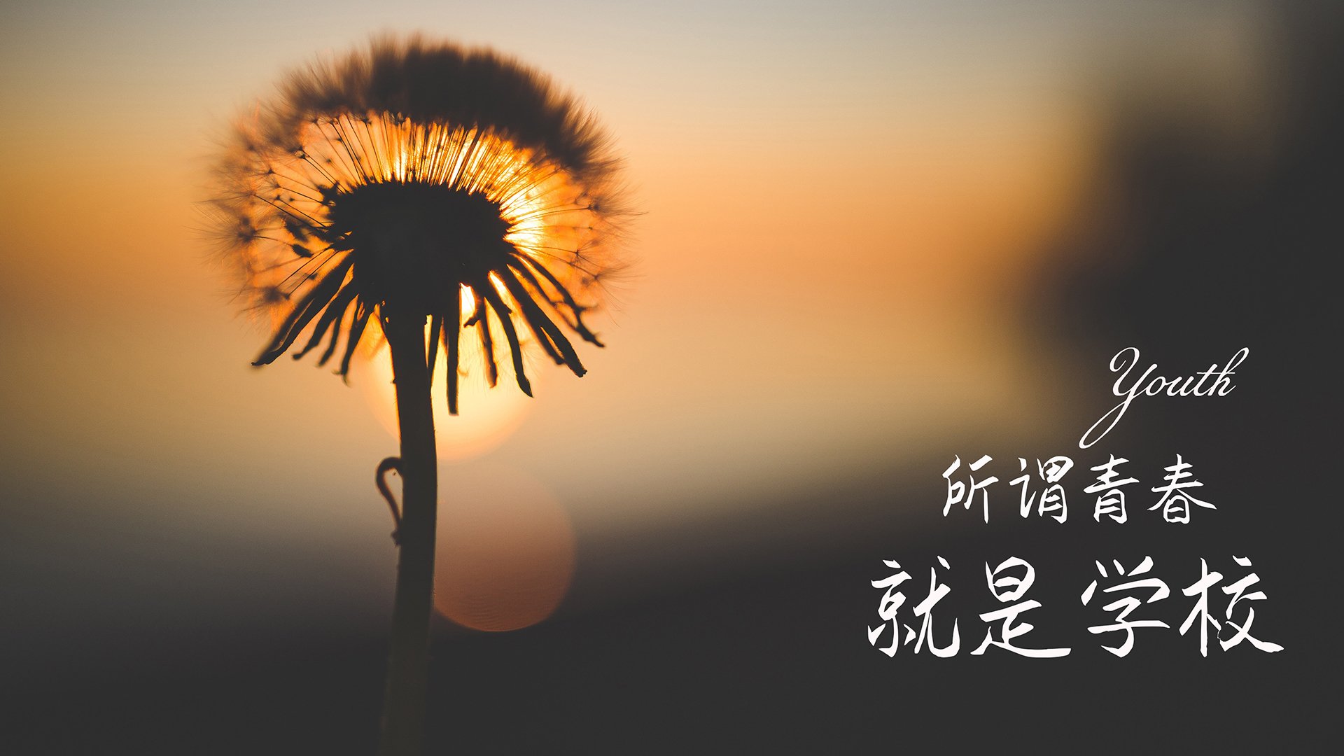 法甲激烈对抗，精彩进球与战术革新持续引爆热情，法甲对阵