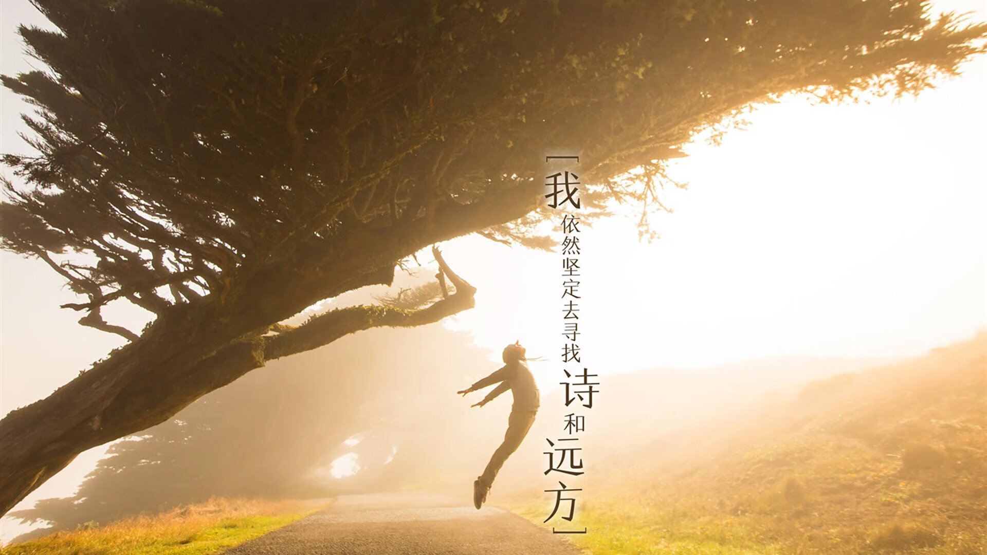 球迷的全球狂欢夜：欧冠赛场的美丽风景线，欧冠全明星赛