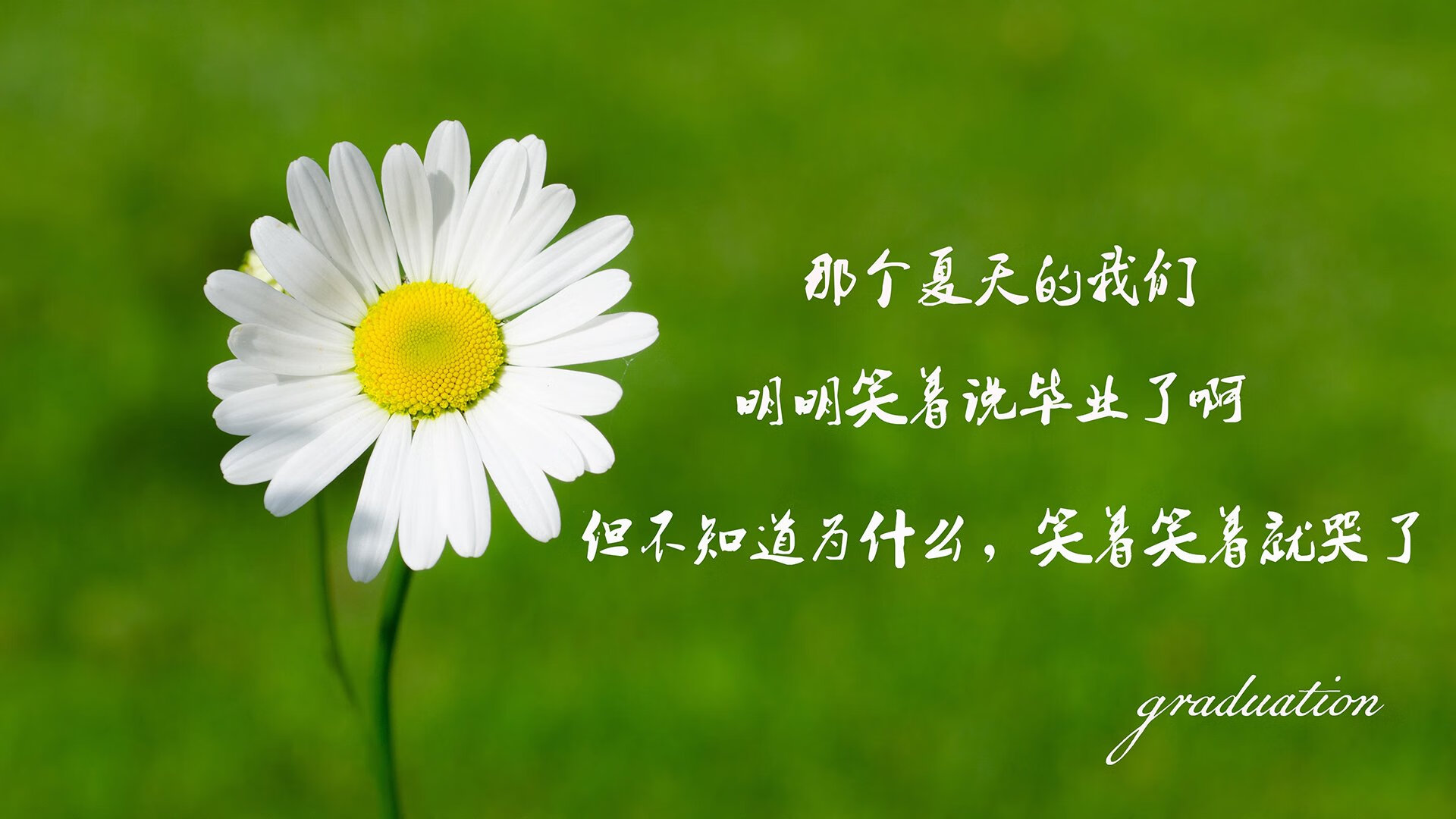历史性马术新人刷新赛道纪录，马术记录片