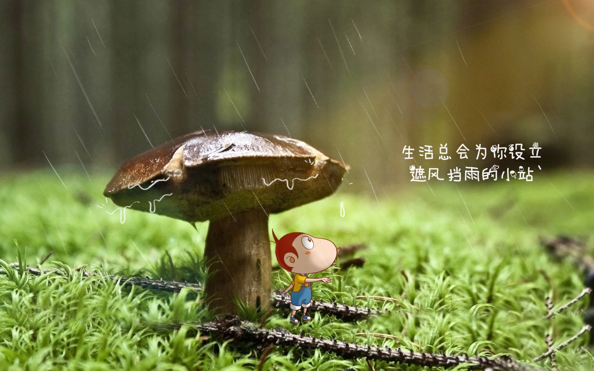 卡尔斯鲁厄困境难挣脱，强敌堵路难前行，卡尔斯鲁厄旅游攻略