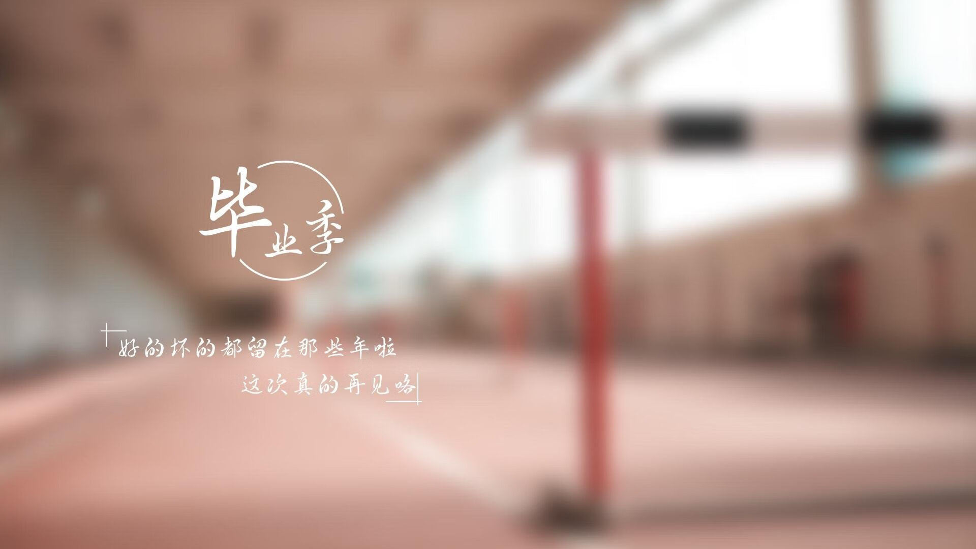 德国马术协会举办马术运动员国际交流活动，促进文化互鉴。，德国马术运动员痛哭