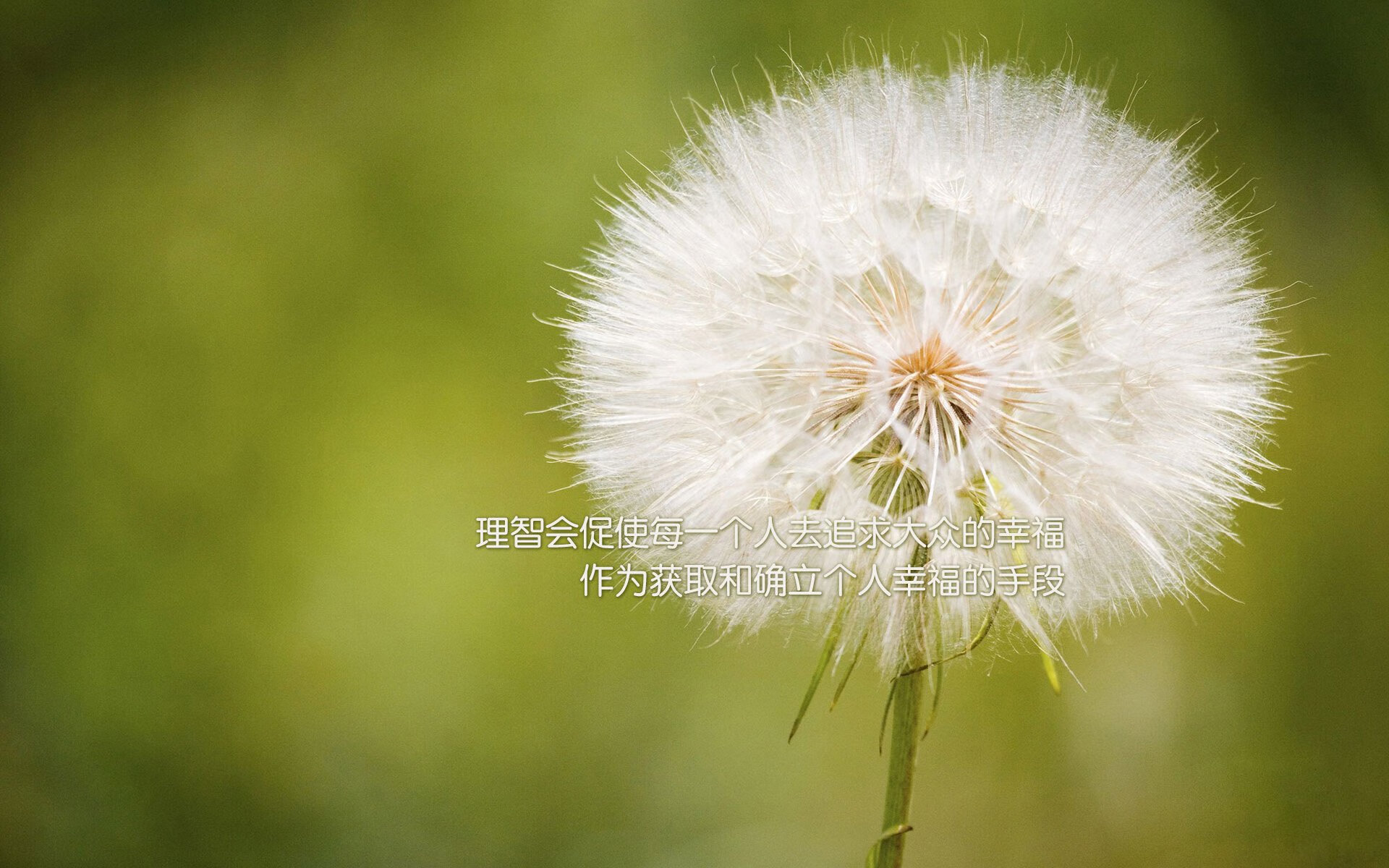 是否应加强对假摔行为的惩罚，是否应加强对假摔行为的惩罚呢