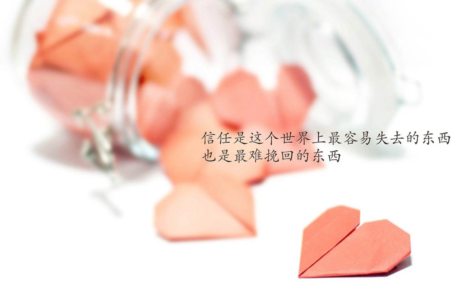 欧文再战篮球赛场，绿衫军豪取连胜，欧文绿军16连胜