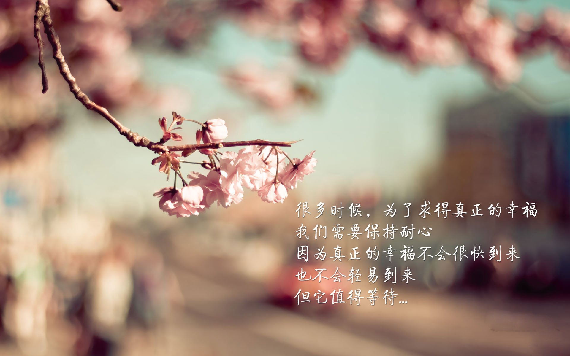 那不勒斯连胜势头强劲，那不勒斯的比赛