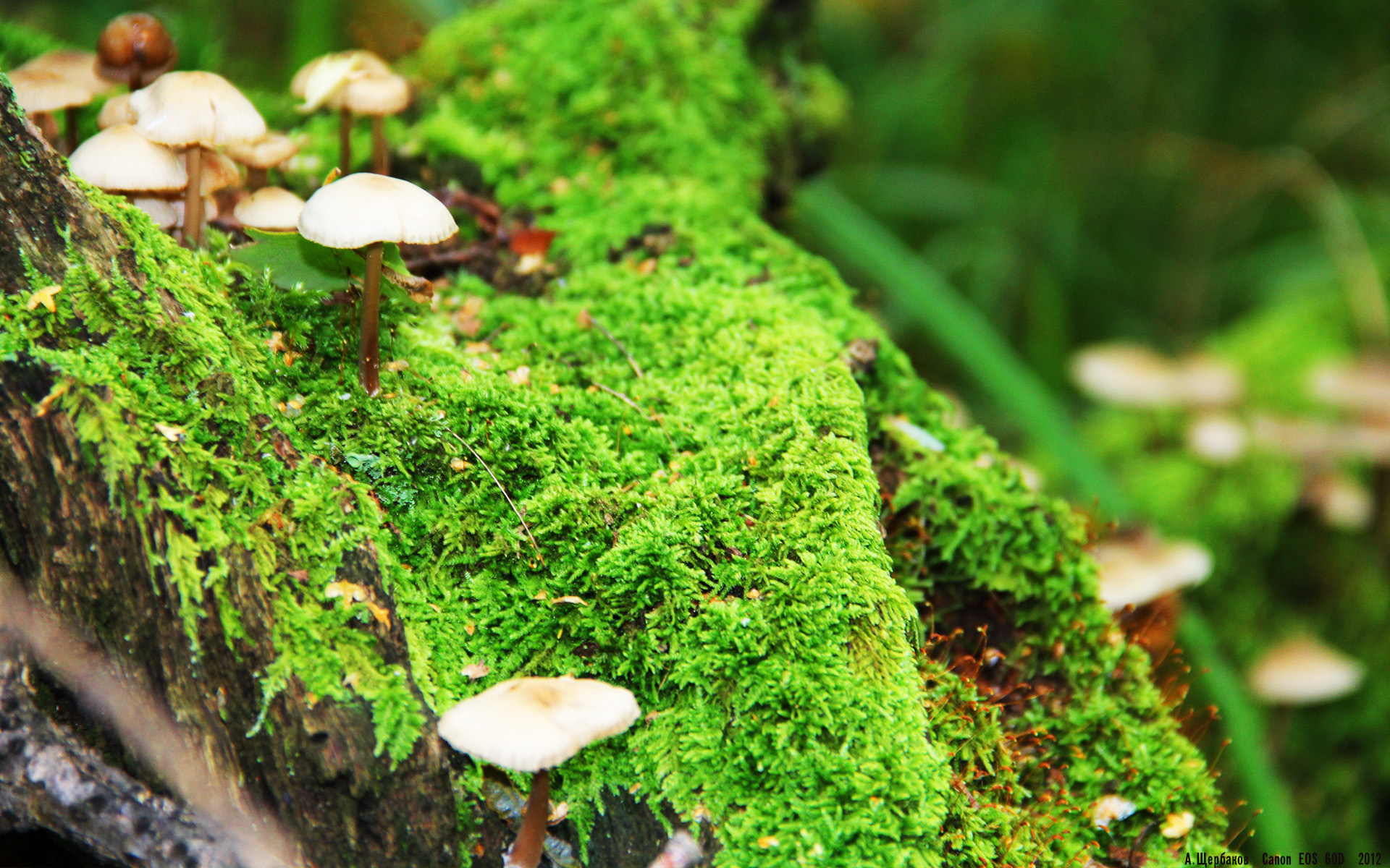 弗朗索瓦·斯图尔特：他的强硬防守助力南非队掌控比赛节奏，弗朗索瓦德尔萨特