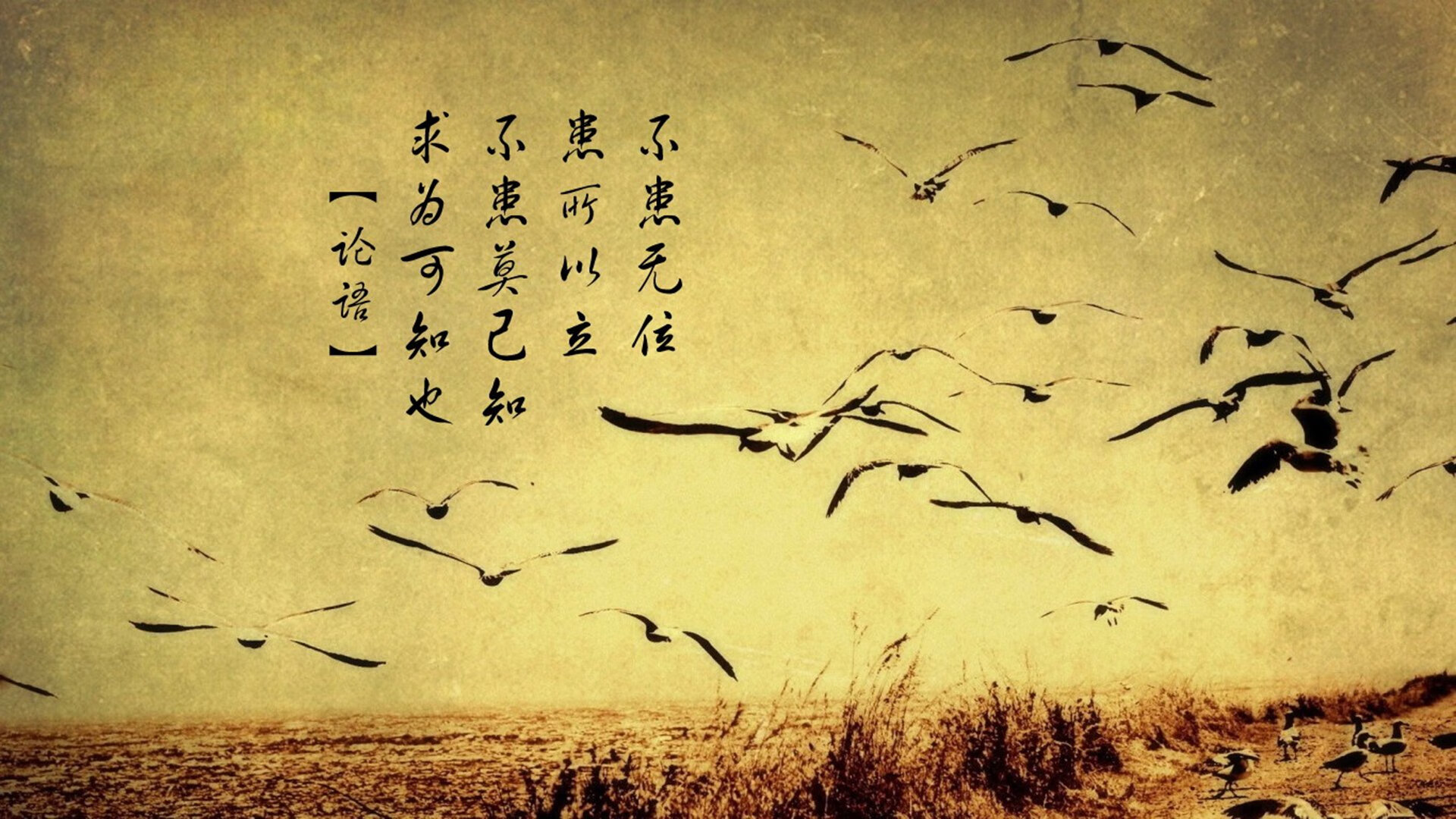 莱昂·马尔尚用速度与耐力完美结合，豪尔赫·莱昂马丁内斯