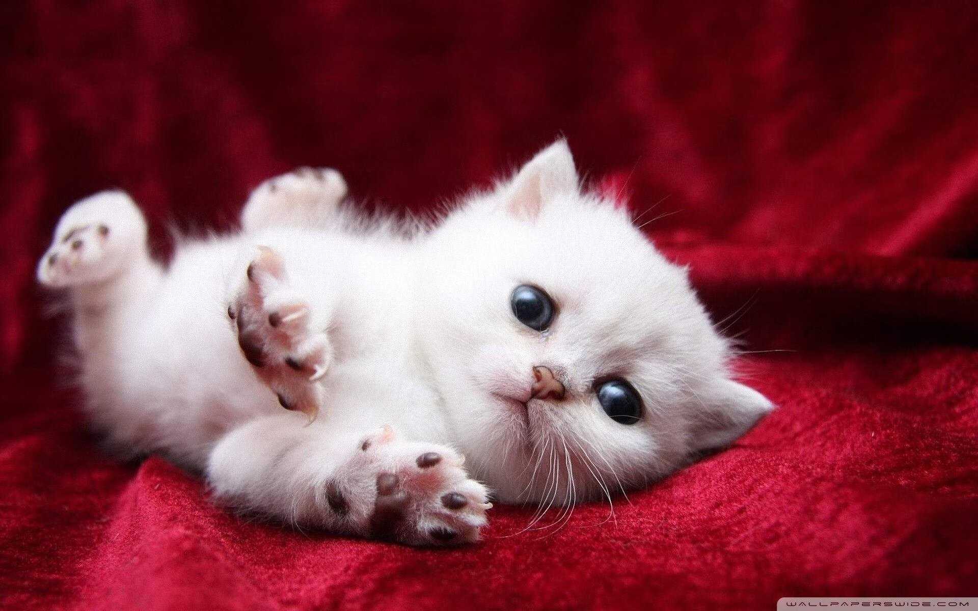 华体会hthapp下载入口-青训营强化基础技术训练打牢技能根基，青年训练营总结